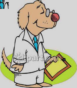 262x300 Dog Doctor Clipart