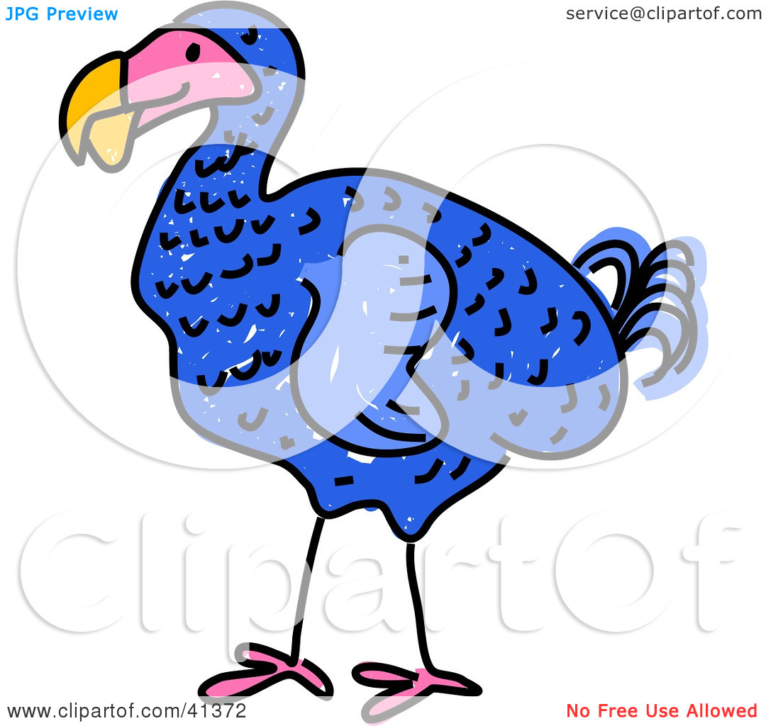 1080x1024 Beak Clipart Bird Face