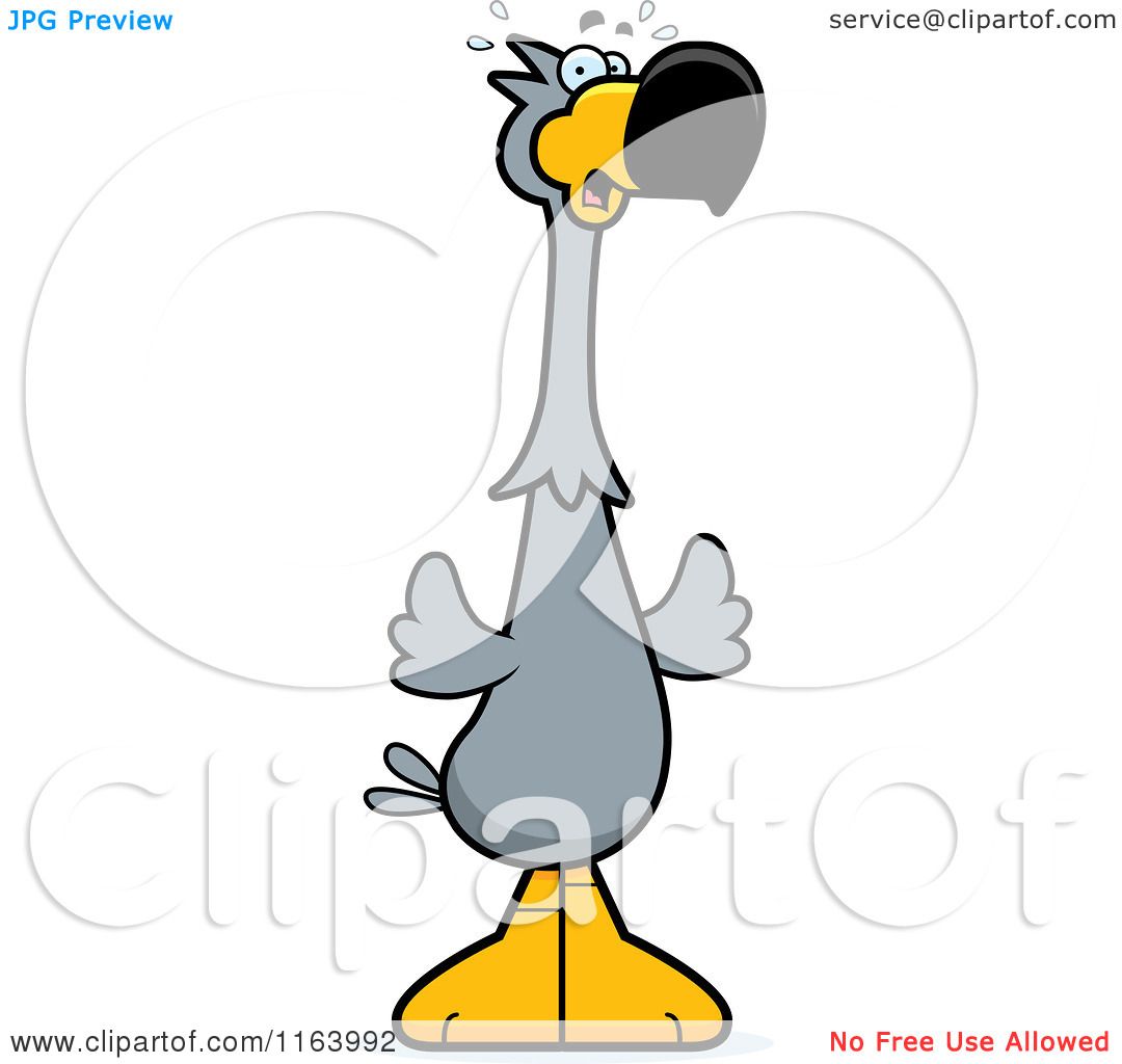 1080x1024 Cartoon Of A Scared Dodo Bird Mascot
