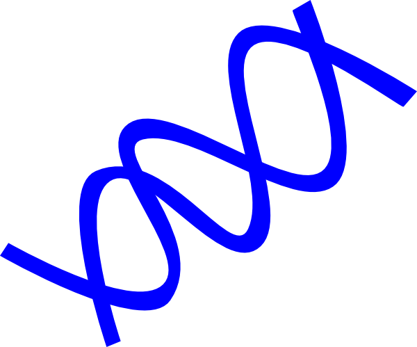 600x499 Dodo Dodo Dodo Clip Art