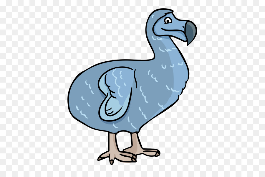 900x600 Dodo Extinction Clip Art