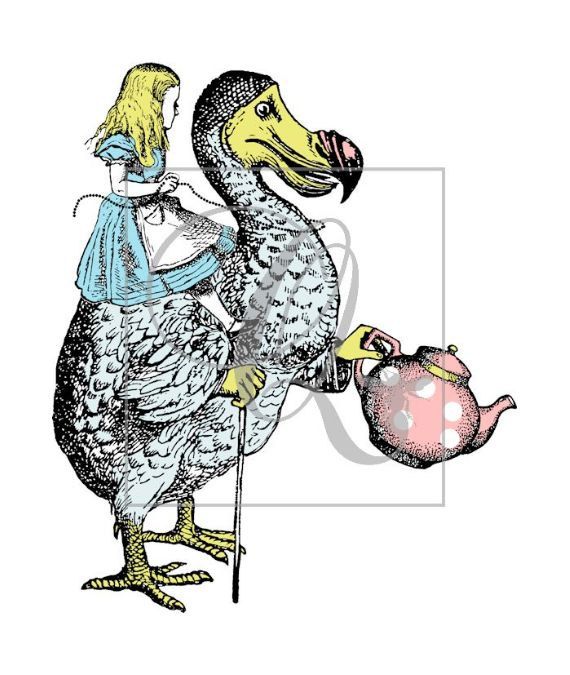 570x675 Alice Amp The Dodo Bird Digital Download Tea Party Invitation Baby