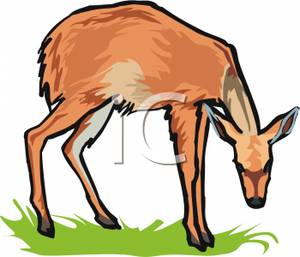300x257 Clip Art Image A Grazing Doe