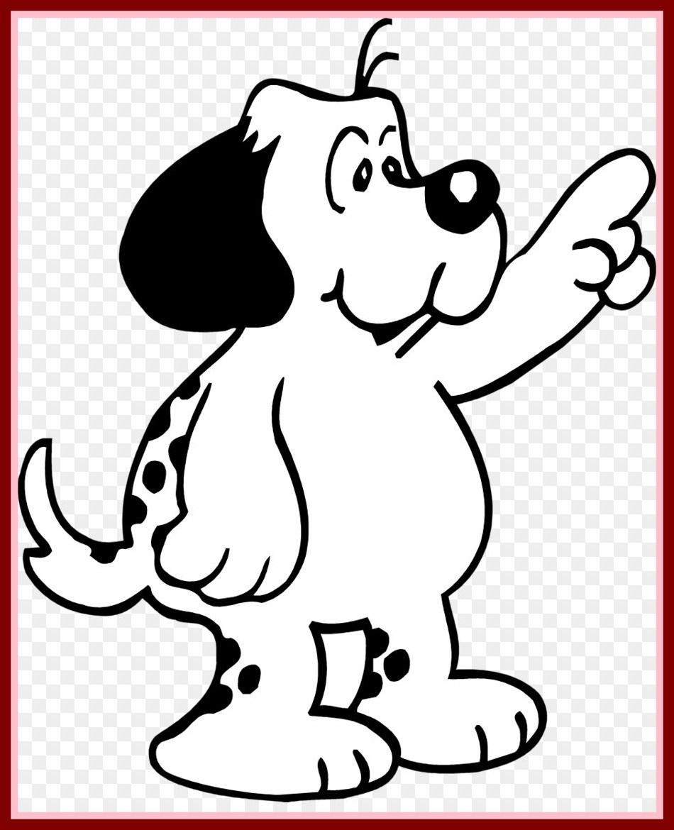 950x1170 Incredible German Shorthaired Pointer Puppy Pointing Breed Clip