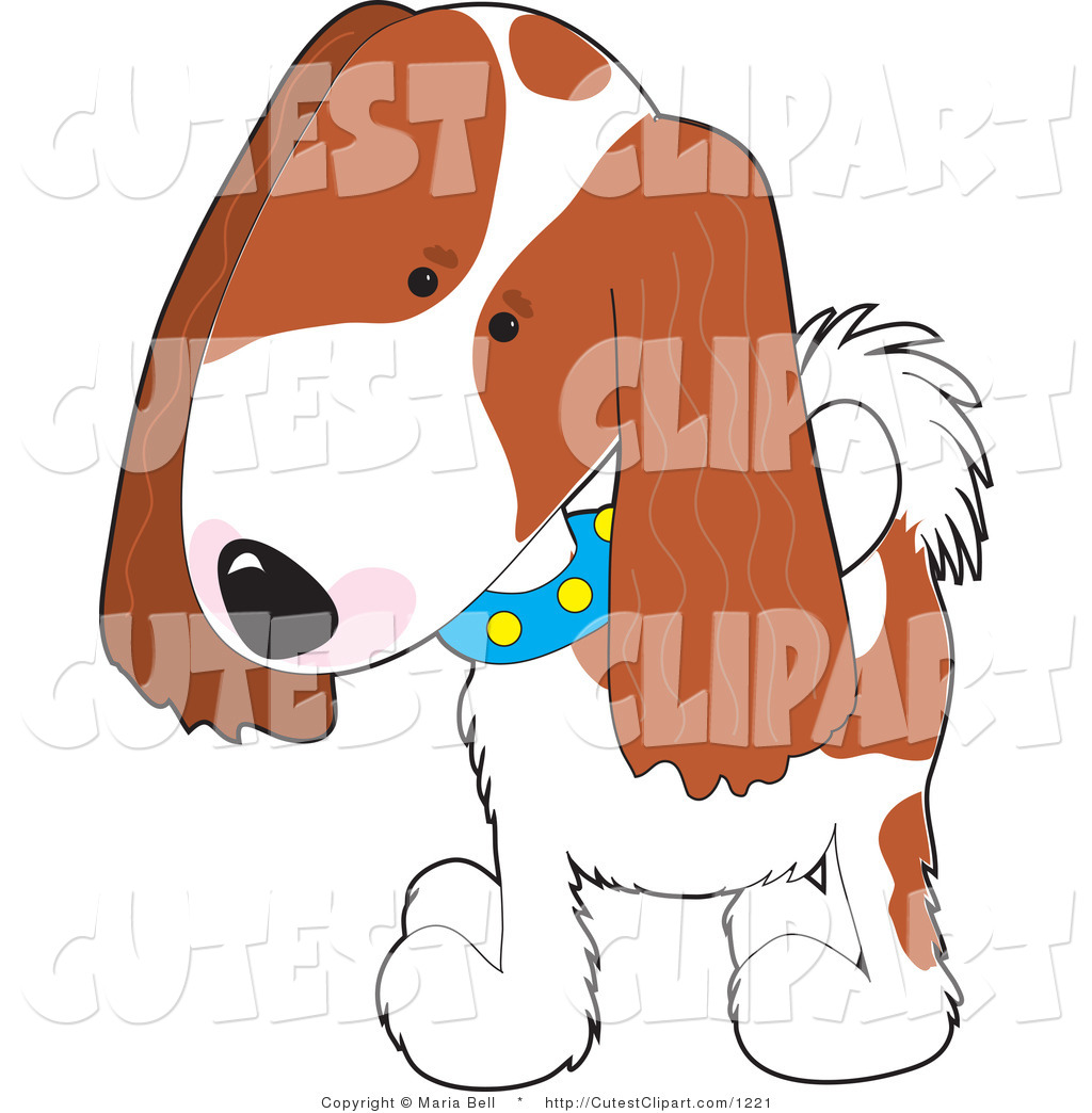 1024x1044 Royalty Free Dog Breed Stock Cute Designs