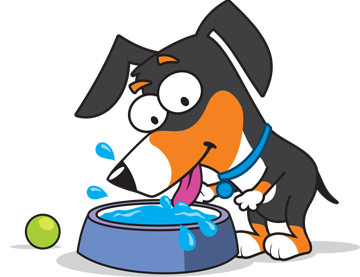 360x277 Freedom From Hunger And Thirst, Dogs Amp Puppies Spca Kids Education