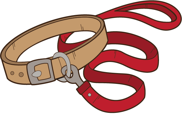 593x373 Best Dog Products 10 Must Have Supplies For Your Dogs