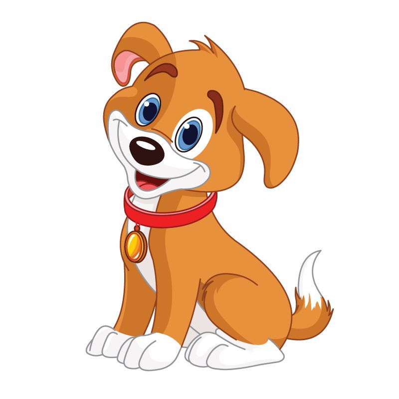 800x800 Dog Wheelchair Costume Child's Wheelchair Costumes, Dog