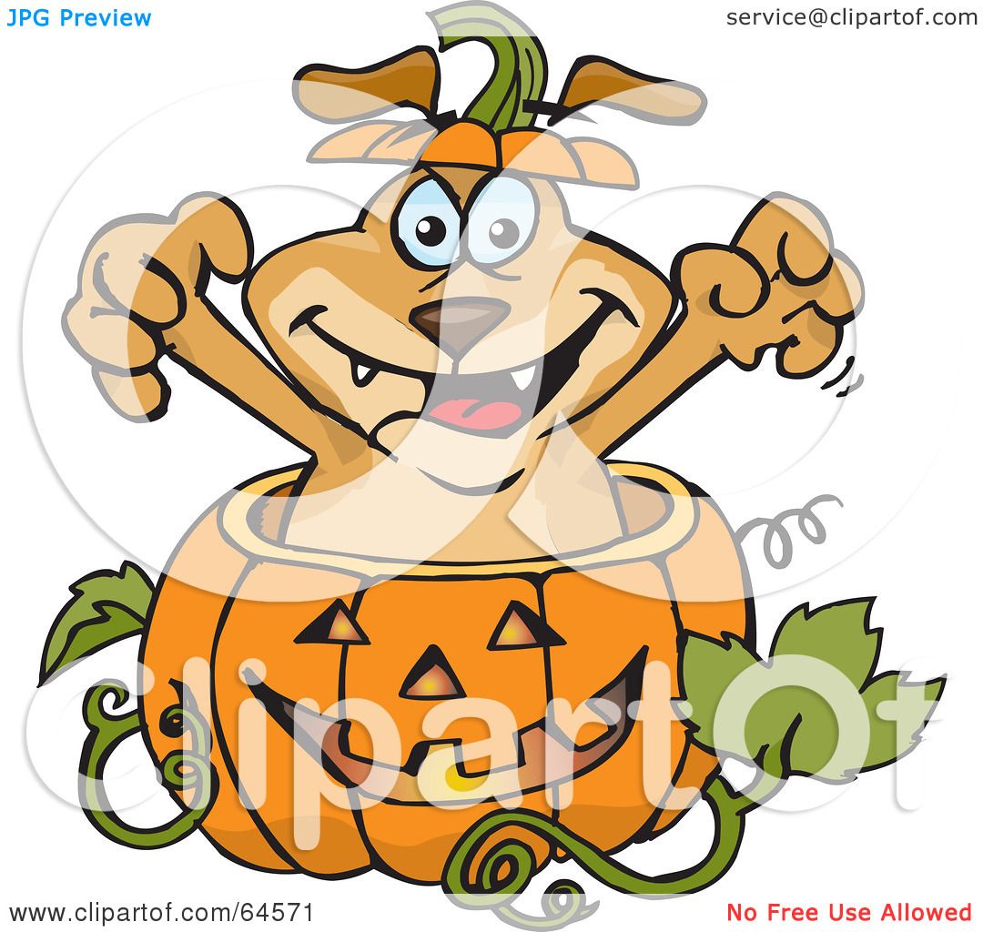1080x1024 Royalty Free (Rf) Clipart Illustration Of A Sparkey Dog Popping
