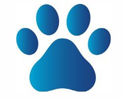 250x200 Jungle Animal Paw Prints Clip Art