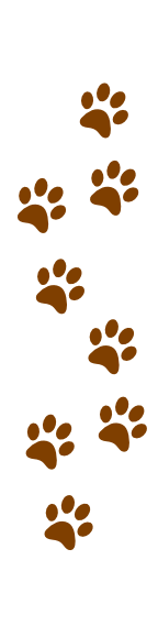 144x579 Paw Clipart Dog Tracks