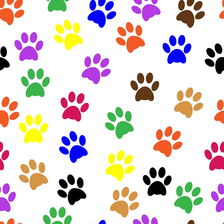 720x720 Collection Of Dog Paw Prints Clipart Buy Any Image And Use It
