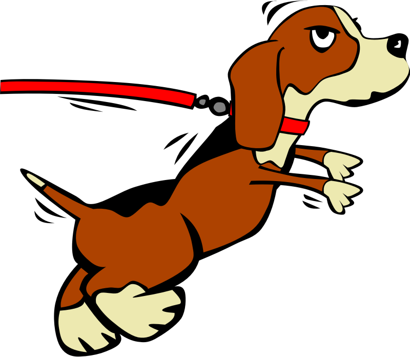 800x696 Image For Dog On Leash Cartoon Animal Clip Art Animal Clip Art