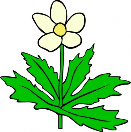 423x425 Dogwood Flower Clip Art