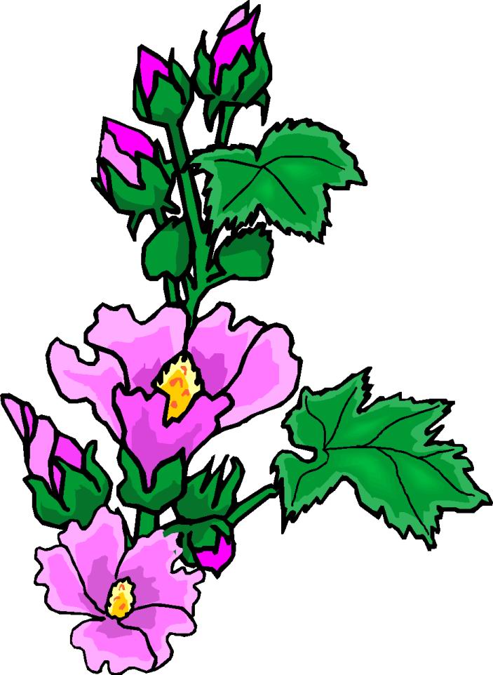 703x961 Floral Clipart