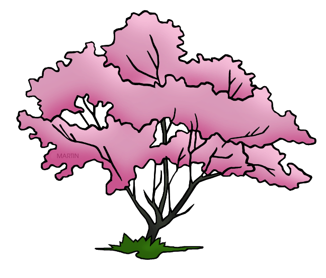 648x552 United States Clip Art By Phillip Martin, Virginia State Tree