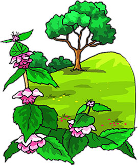270x324 Collection Of Tree Flower Clipart High Quality, Free