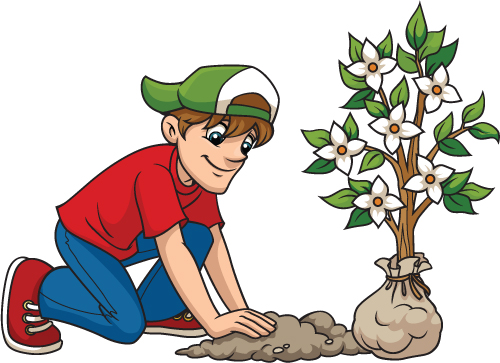 500x363 Boy Planting Dogwood
