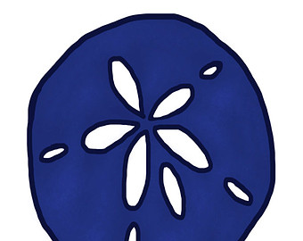 340x270 Sand Dollar Clip Art 8