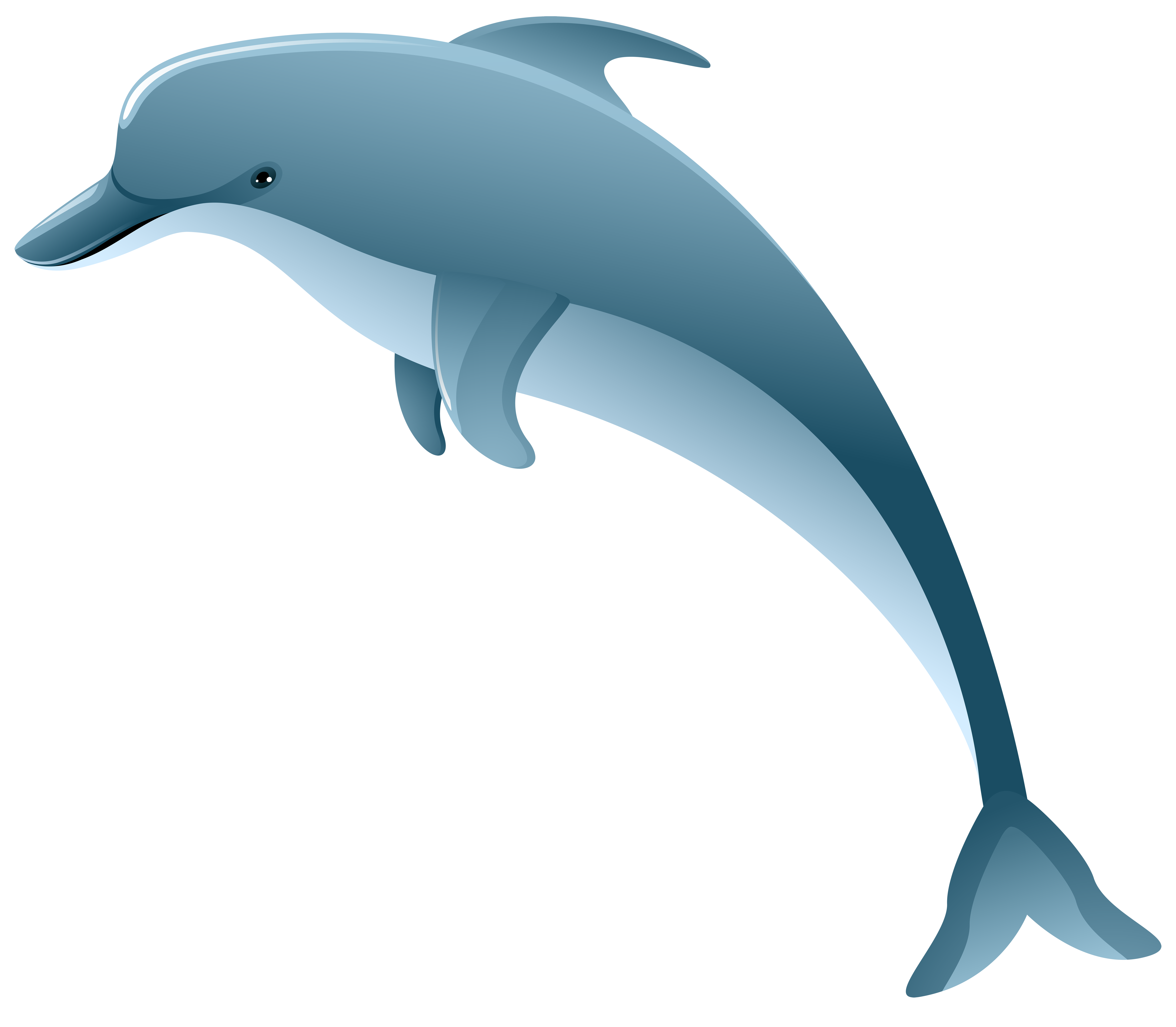 8000x6984 Dolphin Png Clip Art Imageu200b Gallery Yopriceville
