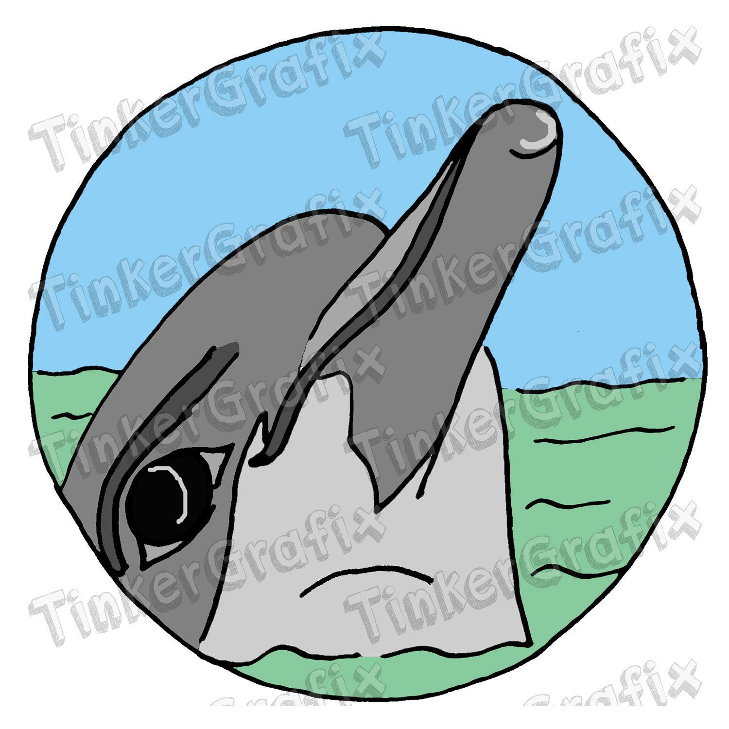 1500x1500 Hand Drawn Animals Clipart Globes, Aquatic Animals,dolphin, Turtle