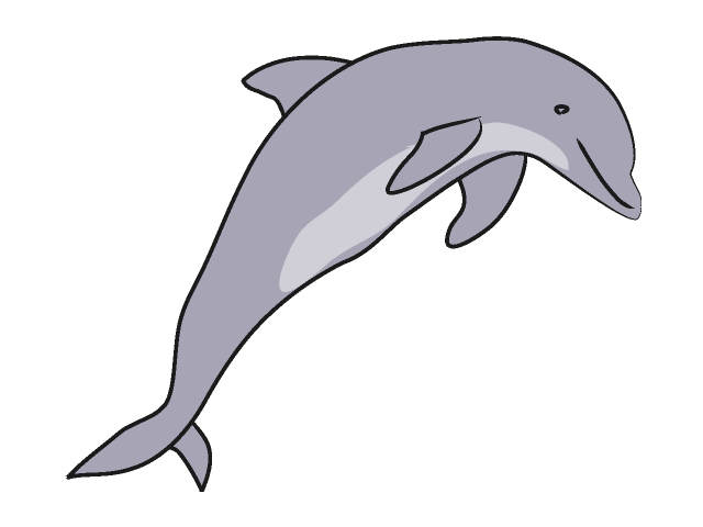 640x480 Live Dolphin Clipart