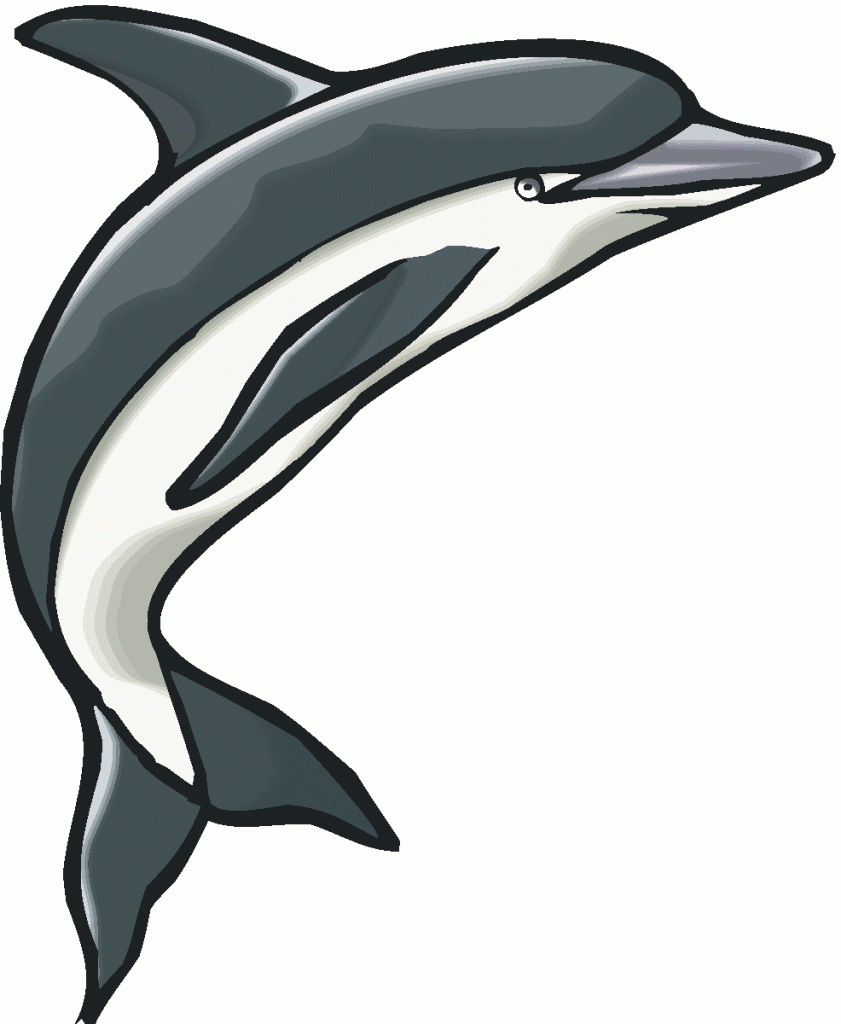 841x1024 Dolphin Clip Art Images Pics Download