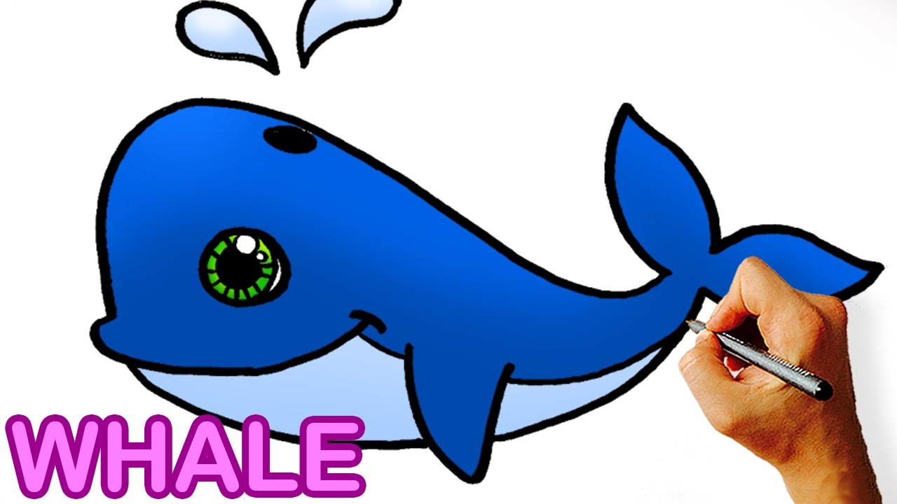 1280x720 Cartoon Whales Gallery Images)