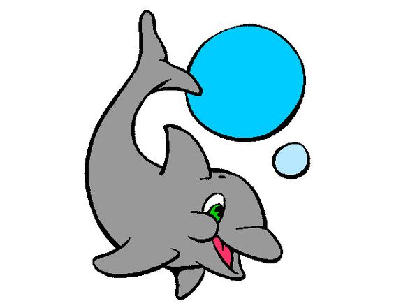 564x441 Delfin Clipart