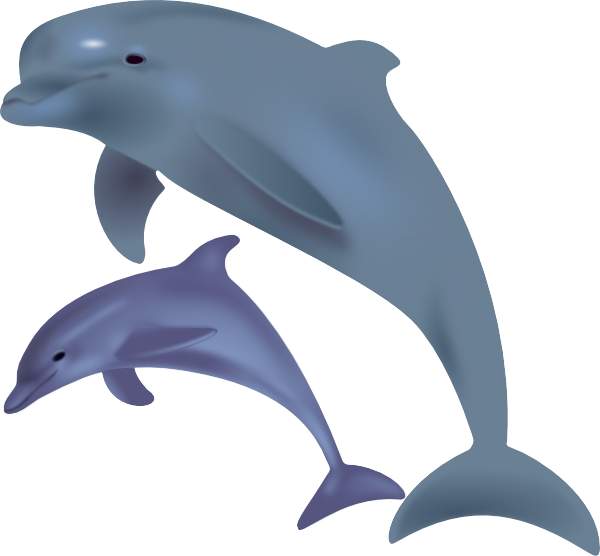 600x556 Pink Dolphin Clipart