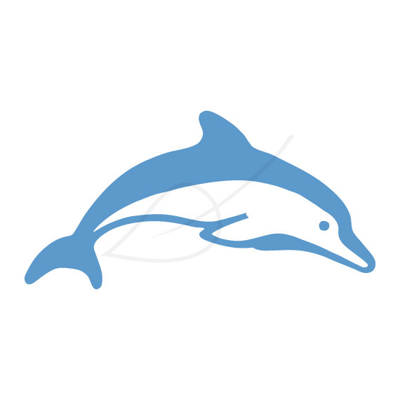 570x570 Top 71 Dolphin Clipart