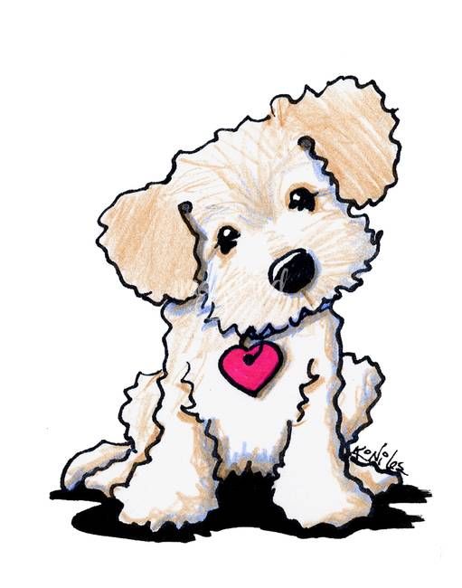 511x650 Goldendoodle Clipart Labradoodle Clipart