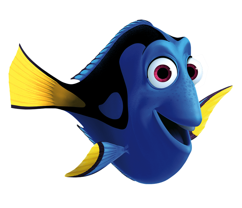 800x688 Dory Clipart Dory Transparent Png Stickpng Clip Art For Students