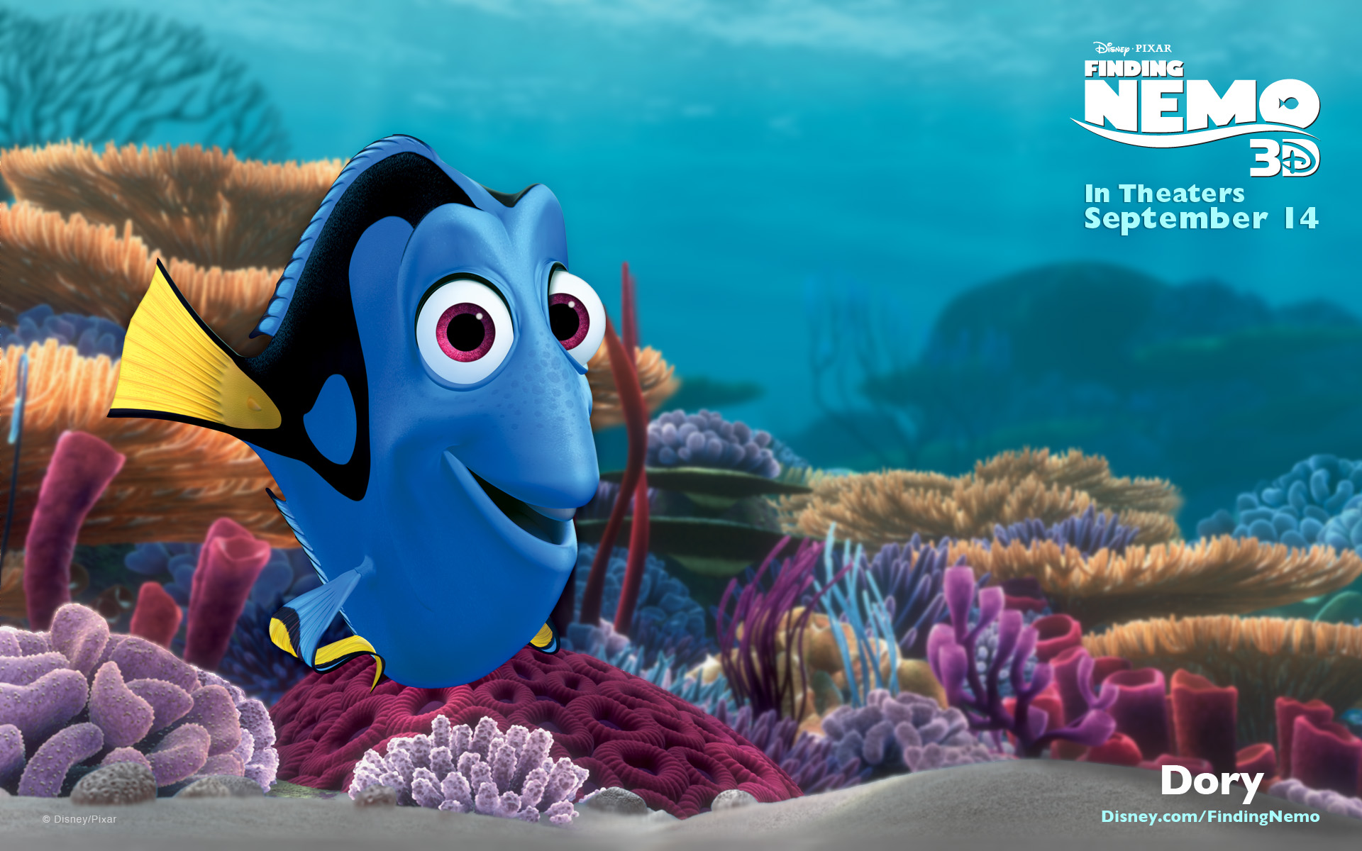 1920x1200 Dory Disney Wiki Fandom Powered By Wikia