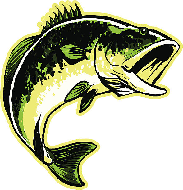 The best free Largemouth clipart images. Download from 31 free cliparts ...