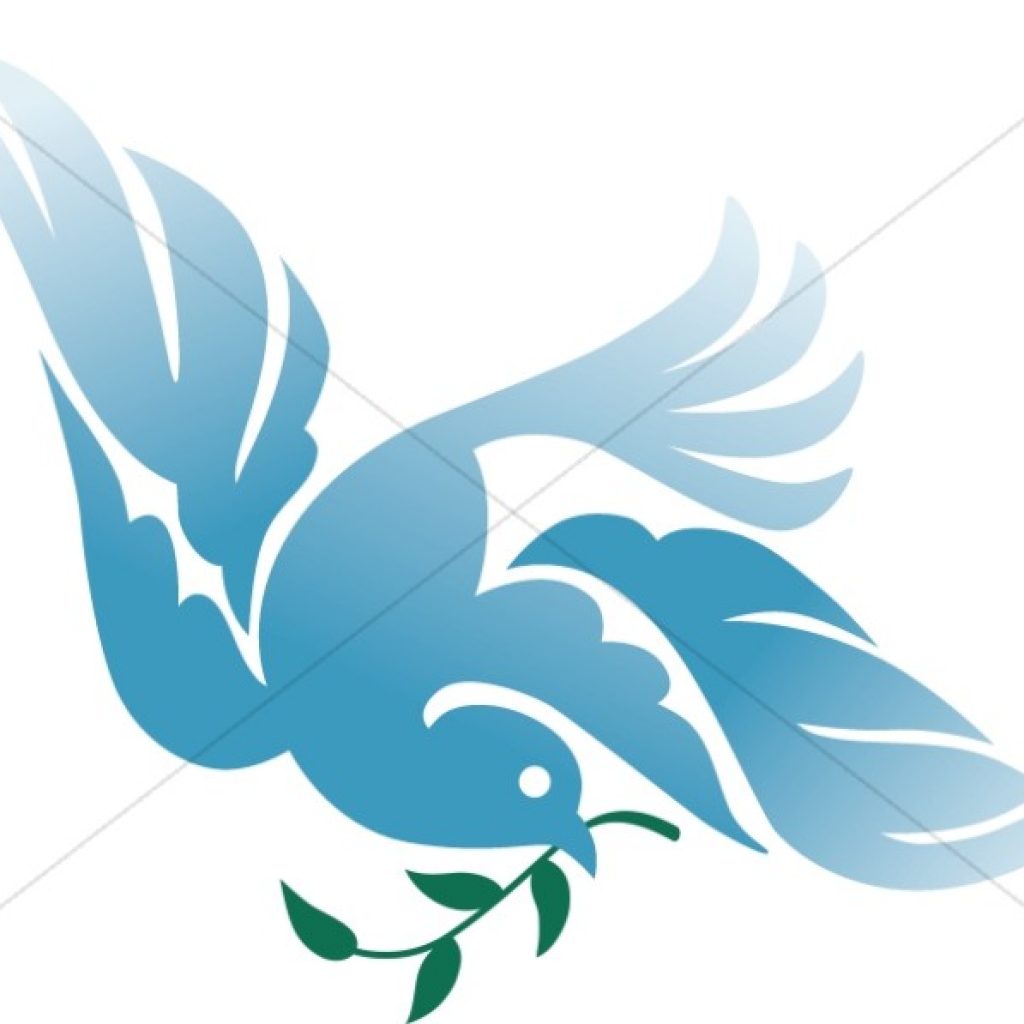 1024x1024 Free Dove Clipart Beach Clipart