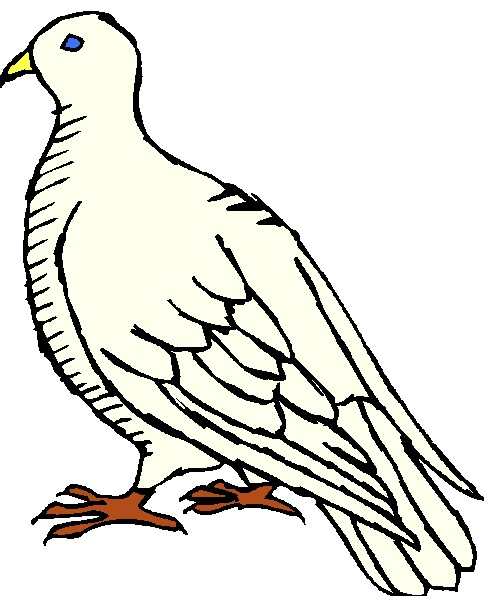 490x596 Pigeons Clip Art Farm