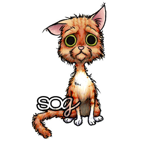 480x480 Unique Dr Seuss Clip Art Wet Cat Clipart Meme And Quote Inspirations