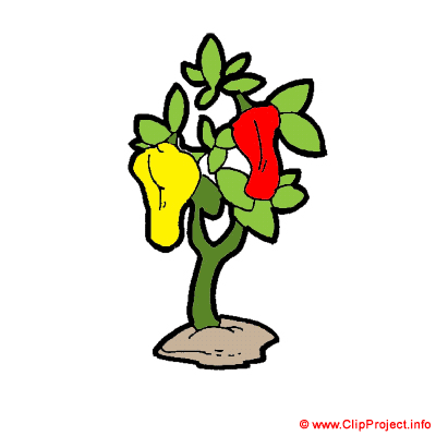 400x400 Pepper Clipart