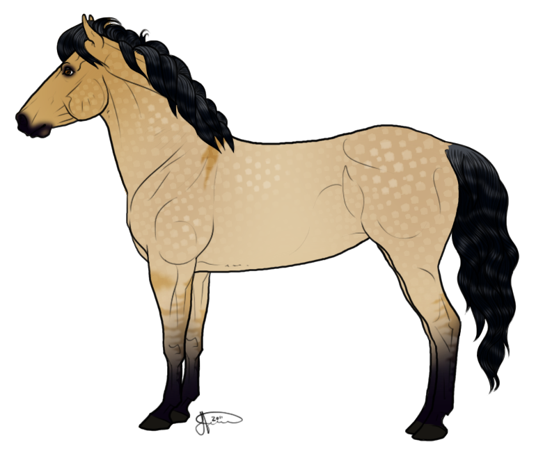 770x656 Icelandic Horse Foal Drawing Draft Horse Clip Art