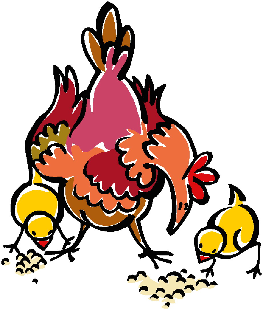 921x1085 Chickens Clip Art Farm