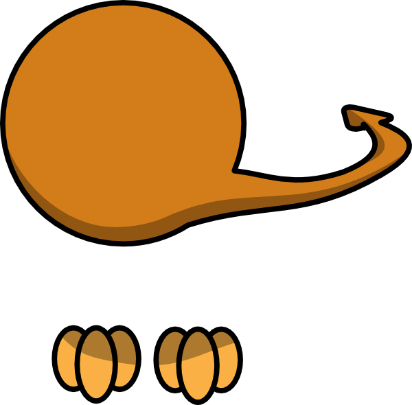 600x590 Feet Tail Clip Art