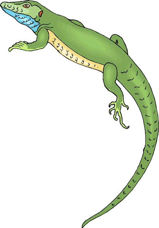 523x750 Free Lizard Clipart