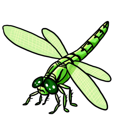 400x400 50 Free Dragonfly Clip Art 18