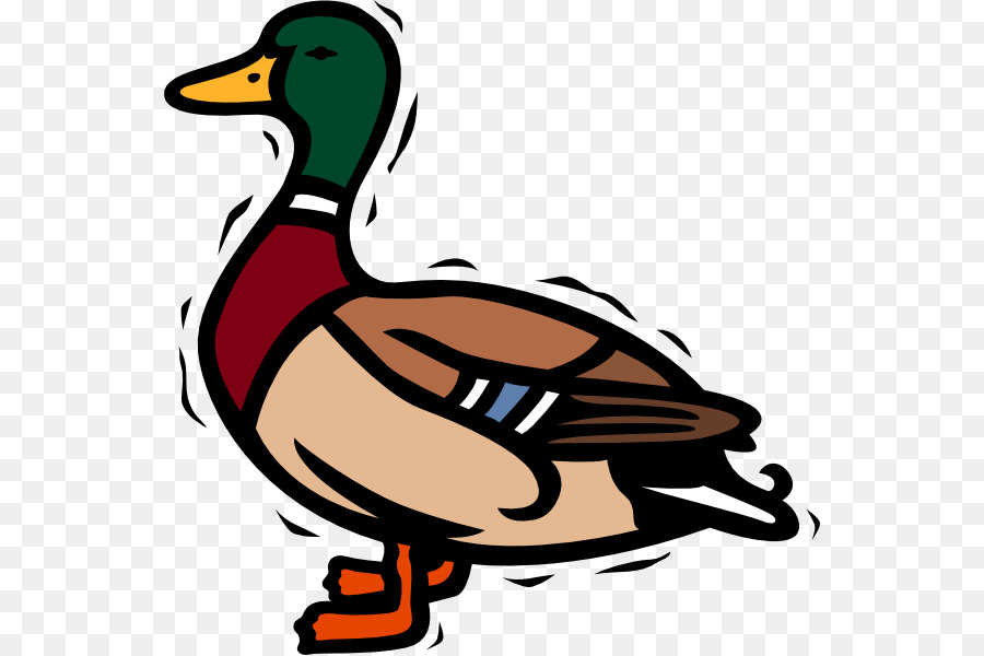 900x600 Duck Mallard Free Content Clip Art