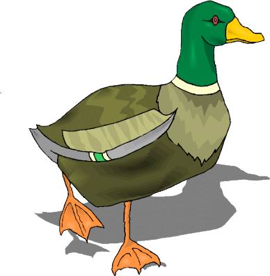 388x396 Farm Duck Clipart