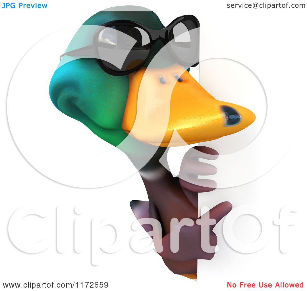 1080x1024 Clipart Of A 3d Mallard Drake Duck Wearing Sunglasses And Facing