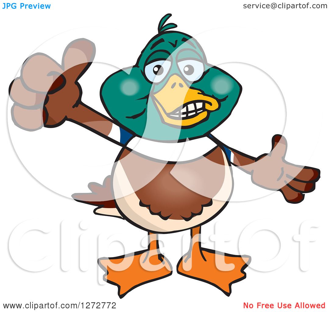 1080x1024 Clipart Of A Happy Mallard Drake Duck Giving A Thumb Up