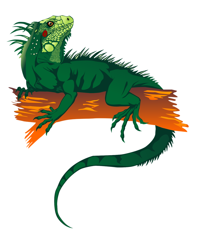 800x955 Iguana Clipart Iguanas Lokis Dream House Stuff Free