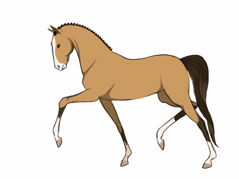 800x600 Dressage Horse Clip Art. Cheval De Silhouette Illustration De